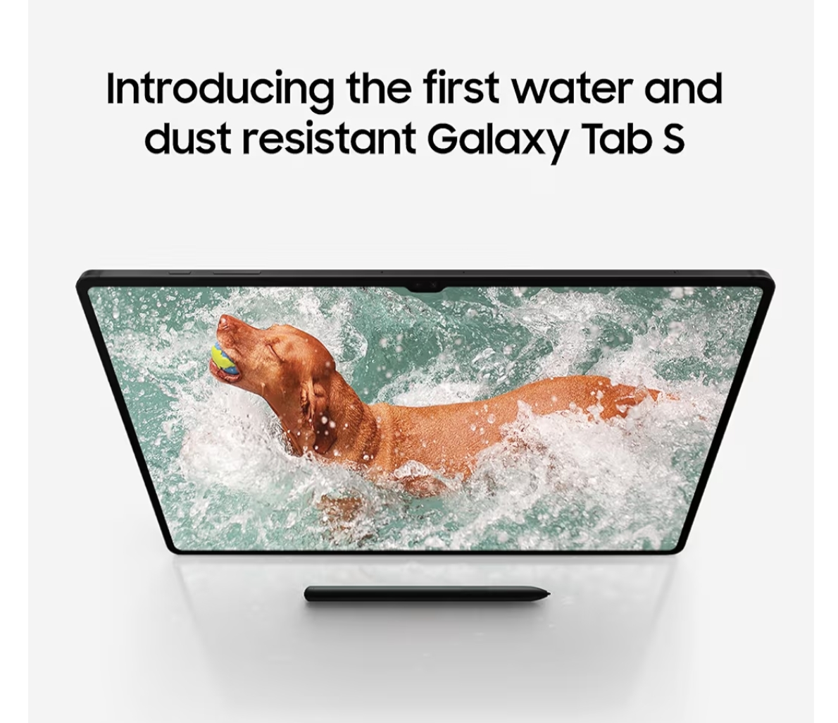 Samsung Tab S9 8+128 Wifi Only Dynamic AMOLED 2X Display 11 Inches